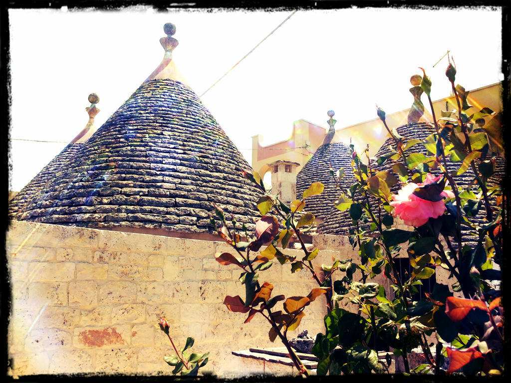 Dimora Matarrese B&B Trulli อัลเบโรเบลโล ภายนอก รูปภาพ