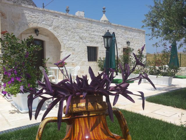 Dimora Matarrese B&B Trulli อัลเบโรเบลโล ภายนอก รูปภาพ